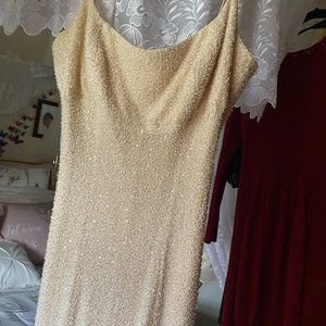 Beautiful evening dress